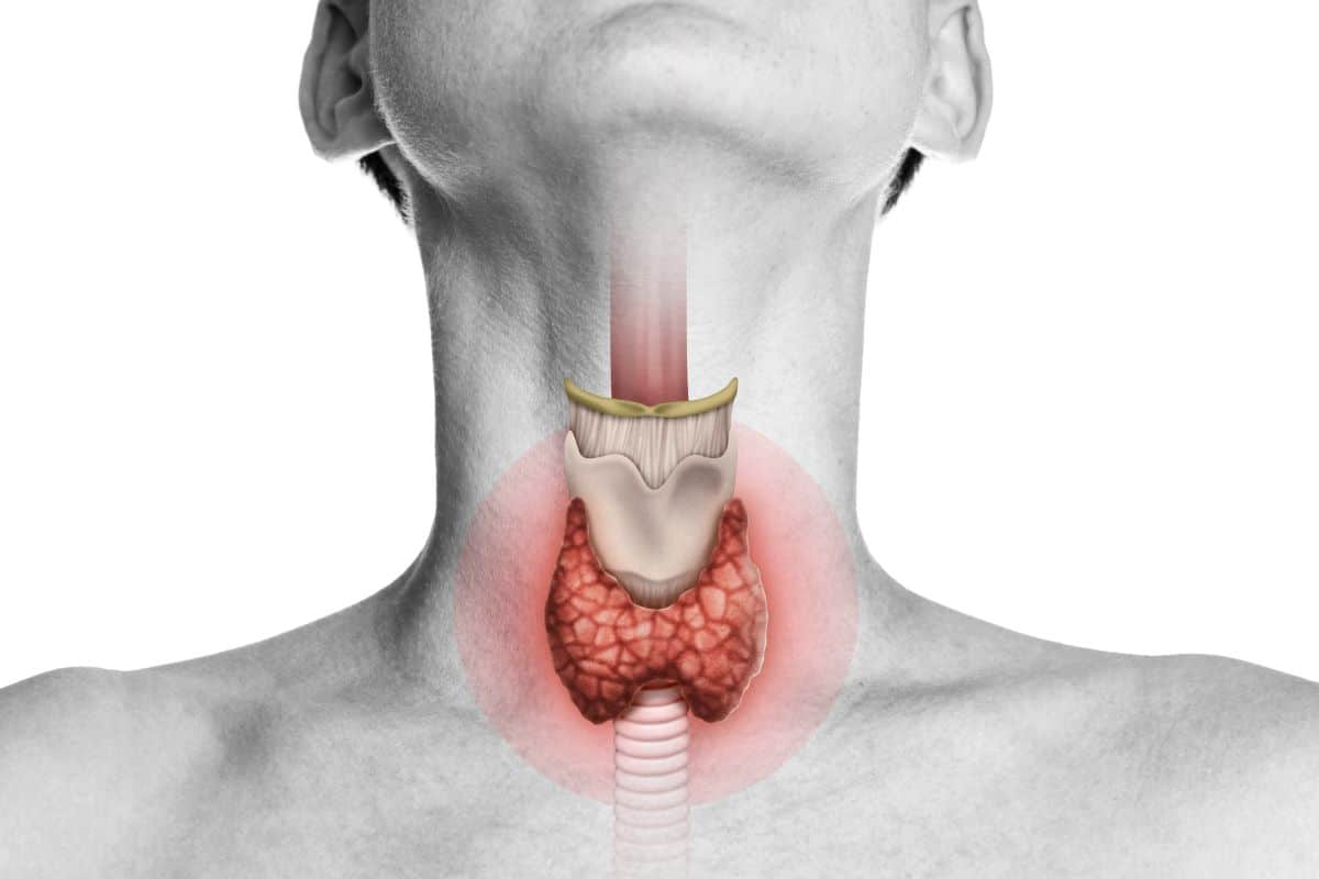 image of a real person with their chin lifted up and a rendering of the internal structure of the throat 